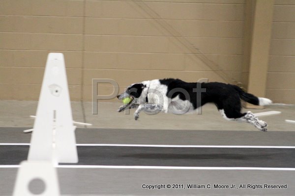 IMG_4360.JPG