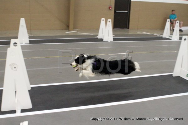IMG_4413.JPG