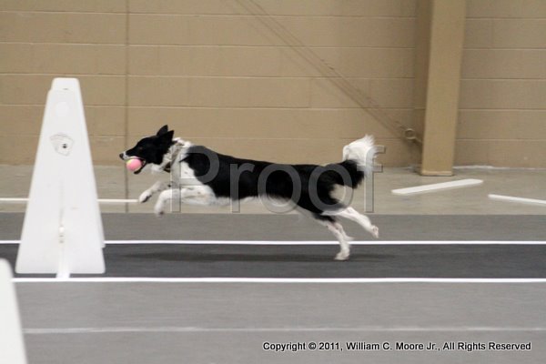 IMG_4430.JPG