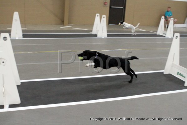 IMG_4439.JPG