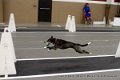 IMG_4336