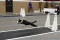 IMG_4340
