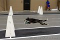 IMG_4344