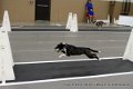 IMG_4346