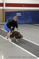 IMG_4465