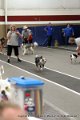 IMG_4503