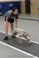 IMG_4515