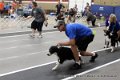 IMG_4531