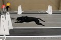 IMG_4542