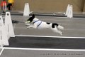 IMG_4556
