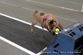 IMG_4633