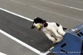 IMG_4641