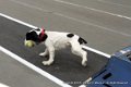 IMG_4642