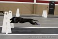 IMG_4664