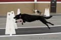 IMG_4672