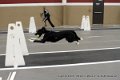 IMG_4677