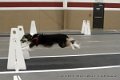 IMG_4779