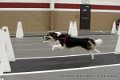 IMG_4788