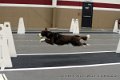 IMG_4791