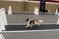 IMG_4794