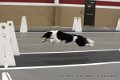 IMG_4798