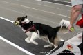 IMG_4970