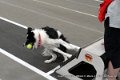 IMG_4979