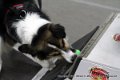 IMG_4983