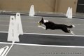 IMG_5004