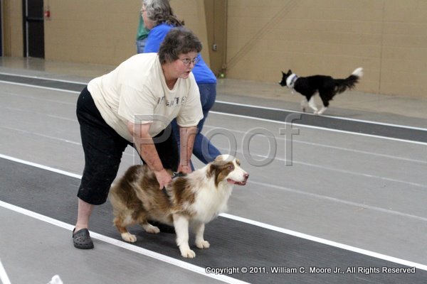 IMG_5015.JPG