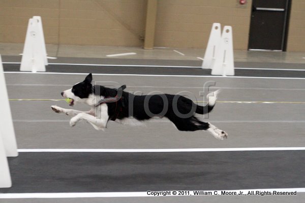 IMG_5048.JPG
