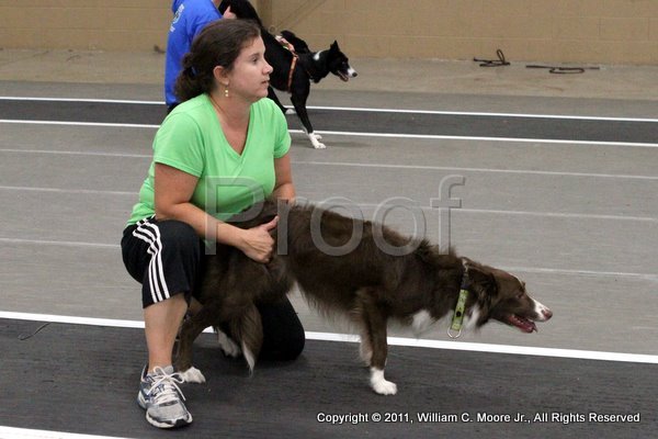 IMG_5150.JPG