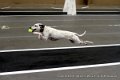 IMG_5134