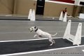 IMG_5147