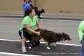 IMG_5151