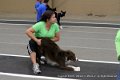 IMG_5153