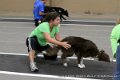IMG_5154