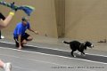 IMG_5167