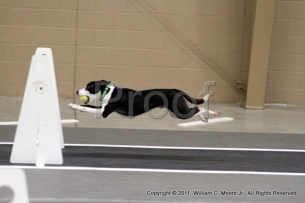 IMG_5270.JPG