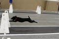 IMG_5188
