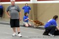 IMG_5212