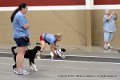 IMG_5240