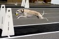IMG_5264