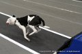 IMG_5311