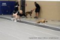 IMG_5377