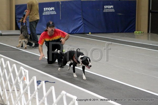 IMG_5420.JPG