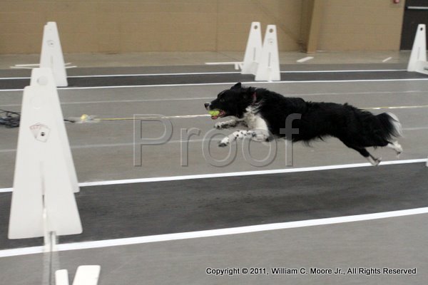 IMG_5491.JPG