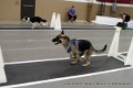 IMG_5379