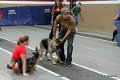 IMG_5406