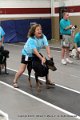 IMG_5448